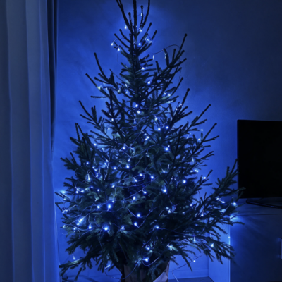 500LED jõulutuled sinine 33.5M