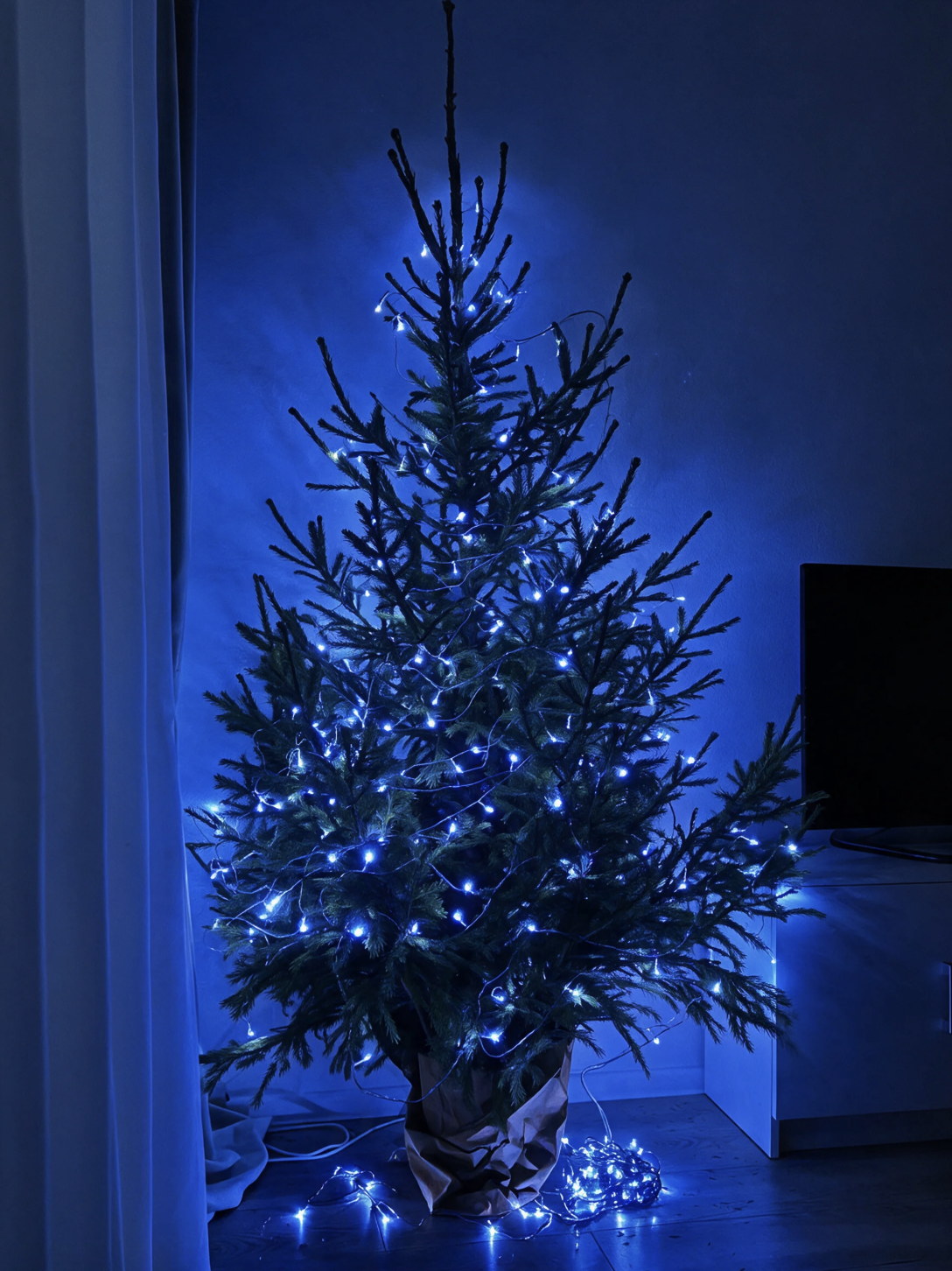 300LED jõulutuled sinine 22M - Pilt 2