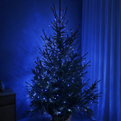 200LED jõulutuled sinine 16M