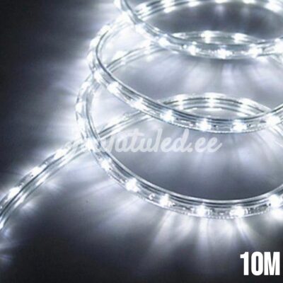 LED valgusvoolik külm valge 10M