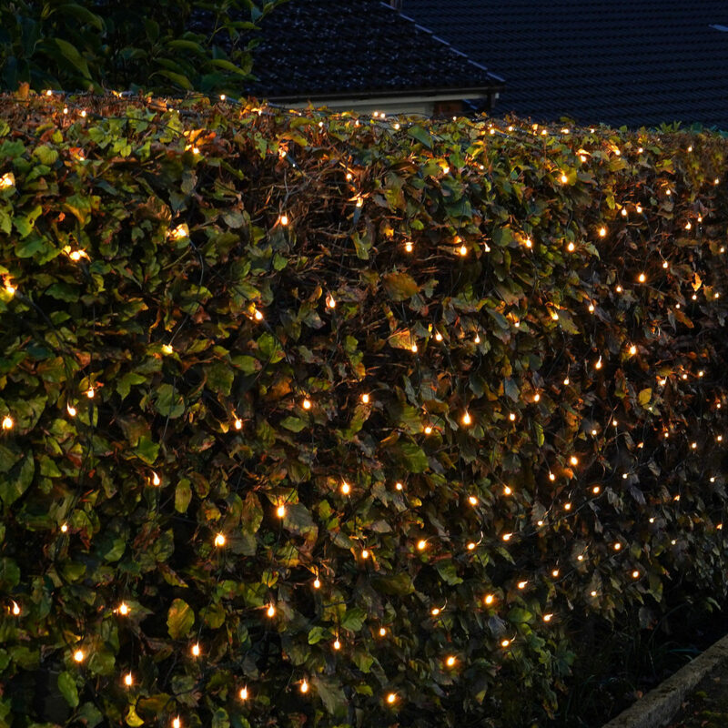 LED Valgusvõrk soe valge 2x1m koos külm valge vilkumisega