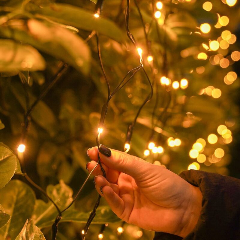 LED Valgusvõrk soe valge 2x1m koos külm valge vilkumisega - Image 3