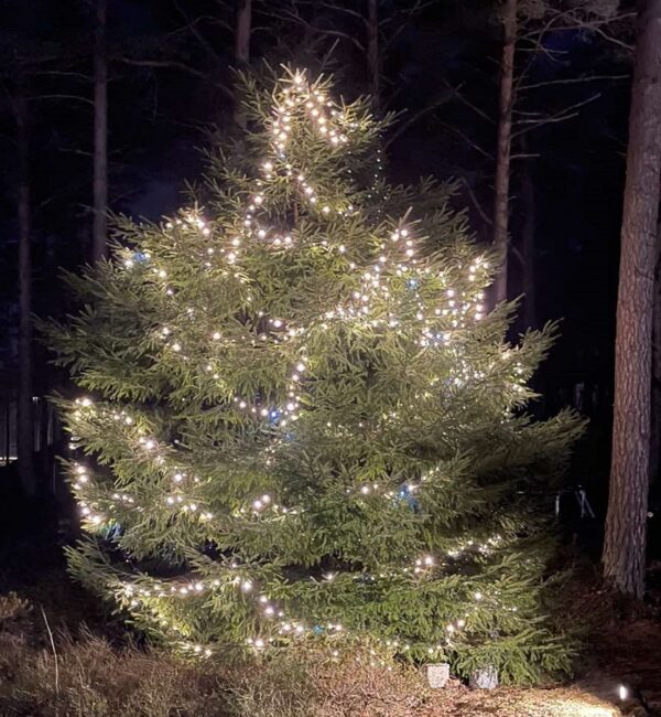 Profesionalios kalėdinės lemputės 300LED šilta balta + mirksinti šalta balta 22M