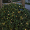 100LED Valguskett 13M soe valge päikesepatareiga