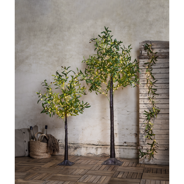 Oliivipuu oks ning terve oliivipuu koos LED-idega aeda või lauale