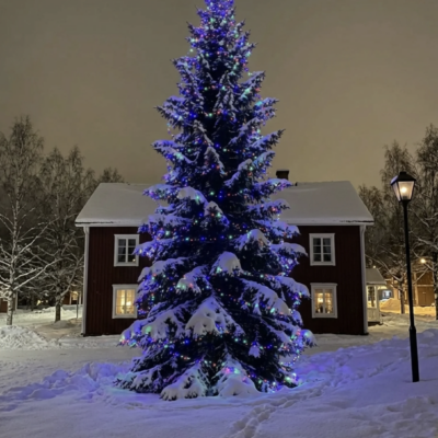 1000LED jõulutuled värviline 52.5M