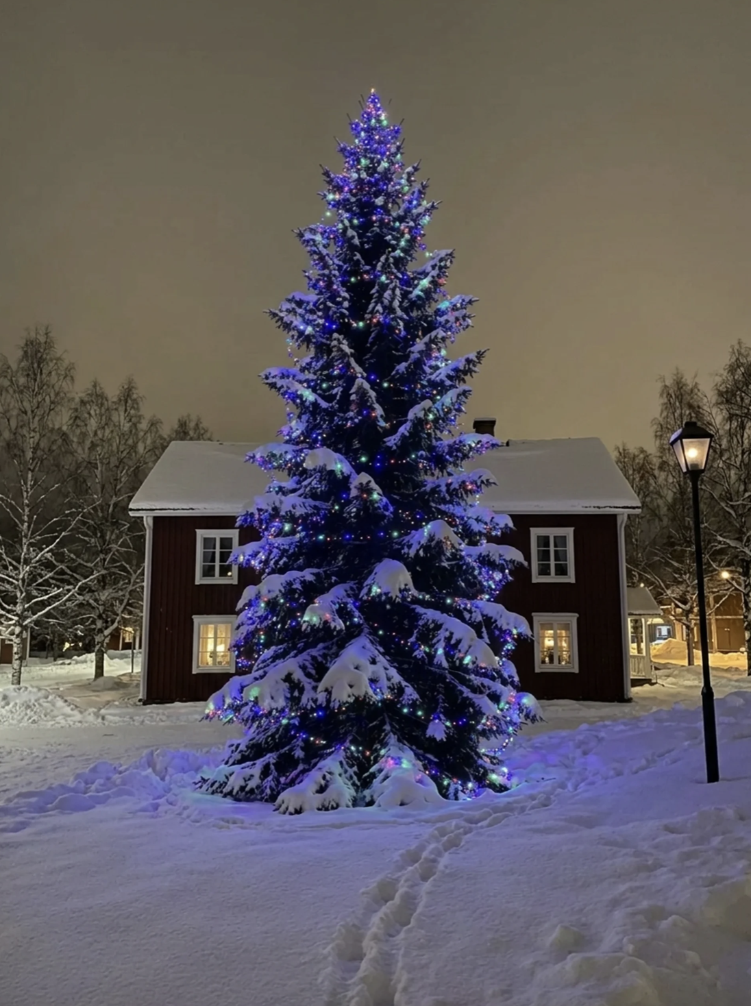 1000LED jõulutuled värviline 52.5M