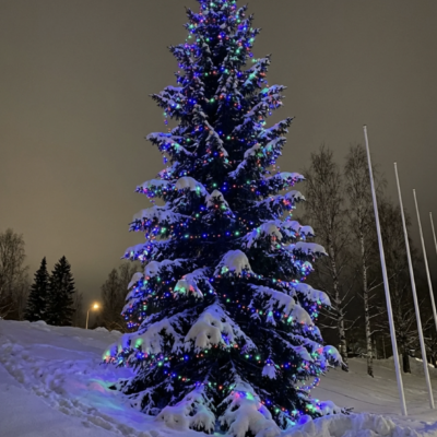 1000LED jõulutuled värviline 81.5M