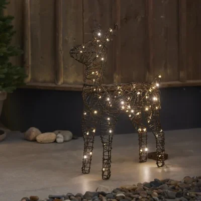 LED põhjapõder